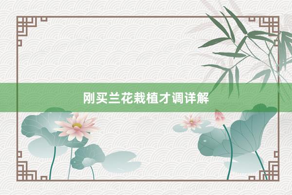刚买兰花栽植才调详解